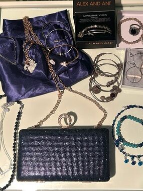 Bundle Evening Bag, Scarf, Alex & Ani  & Mixed Costume Jewelry Lot